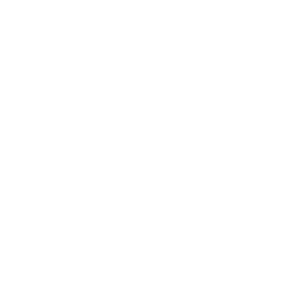Logo-Groupe-3737-Blanc 1 (1)
